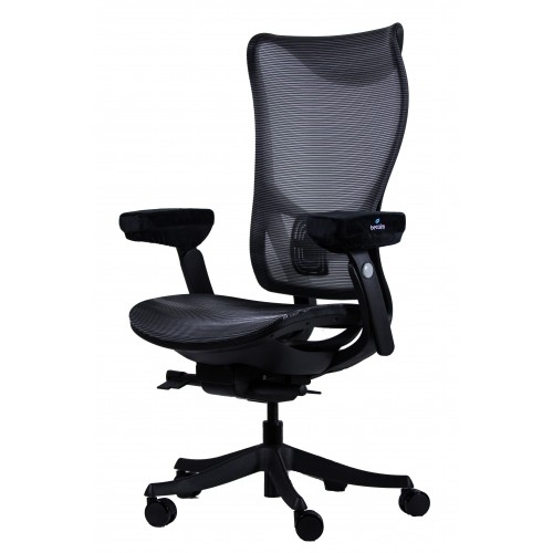 Blarity Office Chair, High Back Ergonomic Desk Chair with