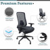Beverly Hills Chairs | The Vertex Fully Adjustable Office Chair | Ergonomic