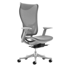 WESTHOLME High Back Office Chair, Fully Adjustable (Armrests, Seat Depth, Lumbar, Tilt Function, and Height), Aluminum Base