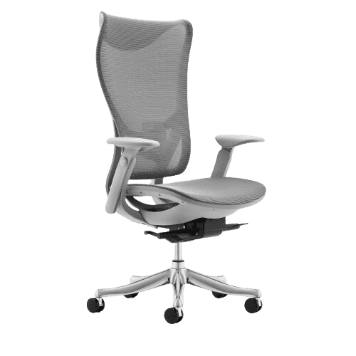 WESTHOLME High Back Office Chair, Full Adjustable (Armrests, Seat Depth, Lumbar, Tilt Function, and Height), Aluminum Base