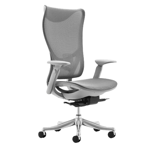 WESTHOLME High Back Office Chair, Fully Adjustable (Armrests, Seat Depth, Lumbar, Tilt Function, and Height), Aluminum Base