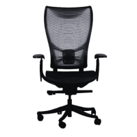 WESTHOLME High Back Office Chair, Full Adjustable (Armrests, Seat Depth, Lumbar, Tilt Function, and Height), Nylon Base - Black