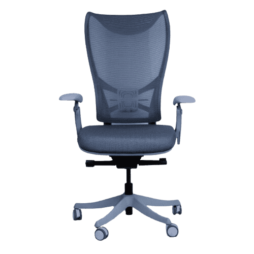 WESTHOLME High Back Office Chair, Ergonomic Desk Chair, Tilt Function, Lumbar Support, Fabric Foam Seat - Gray