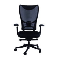 WESTHOLME High Back Office Chair, Ergonomic Desk Chair, Tilt Function, Lumbar Support, Fabric Foam Seat - Black