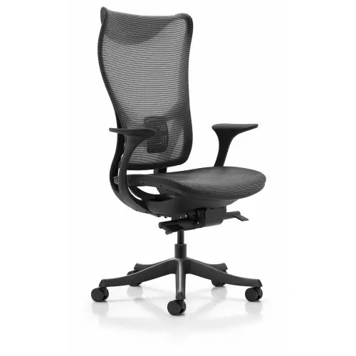 Beverly Hills Chairs | Westholme - Nanoflex - Fixed Arms Office Chair | Black - Mesh Seat