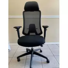 Mesh Back, Foam Seat Fully Adjustable Office Chair with Headrest