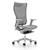 WESTHOLME High Back Office Chair, Ergonomic Desk Chair with Adjustable Seat Depth Feature, Tilt Function, Lumbar Support - Office Mesh Chair - Aluminum Base, Grey Frame and Grey Mesh