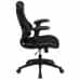 Allure | FlexBody - (High Back) Limited Edition Ergonomic Chair | Mesh