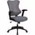 Allure | FlexBody - (High Back) Limited Edition Ergonomic Chair | Mesh
