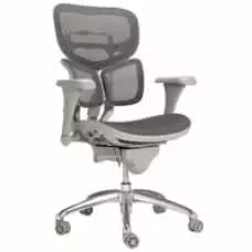 EuroLuxe Mesh Office Chair with Lumbar Support