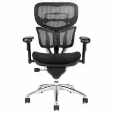 Ergonomic Black Mesh Back with Adjustable Arms, Seat Slider, Tilt Tension Adjustment