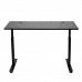 Stand Desk | - Leading Sit to Stand Motorized Desk - Black Top
