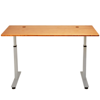 Stand Desk | - Leading Sit to Stand Motorized Desk